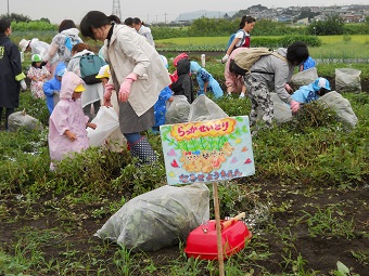 785-落花生１.jpg